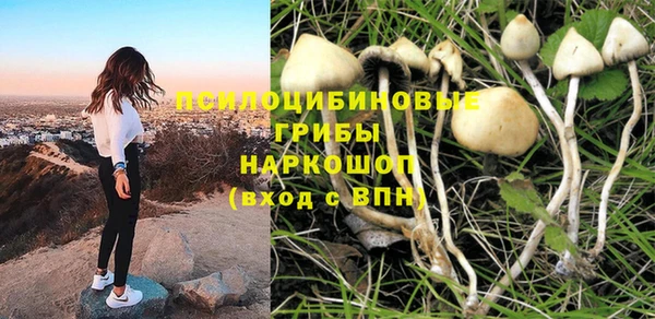кокс Алзамай