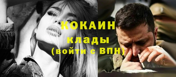 спайс Алексин